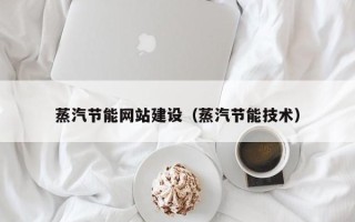 广西蒸汽节能网站建设（蒸汽节能技术）